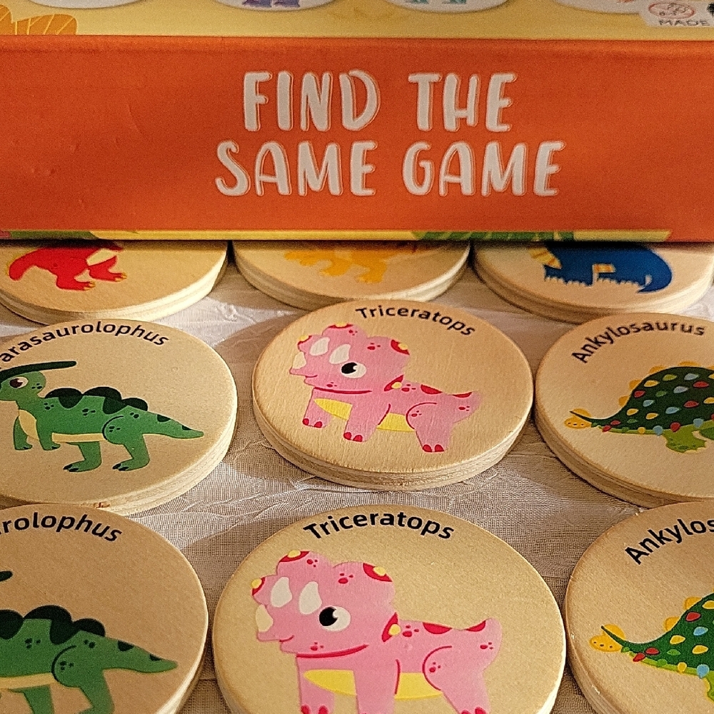 Wood toy for toddler Game! Find the Same - Dinosaurs - Picture 5 of 8